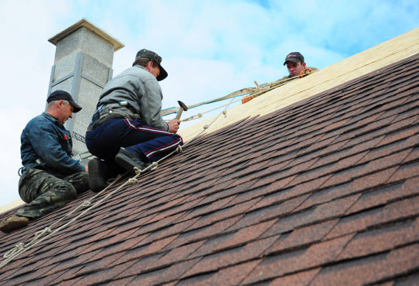 Professional Roofing Contractor in Tilton, IL